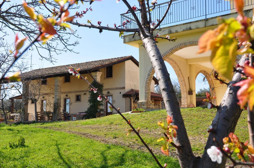 Torre Mannella Hotell Citta Sant'Angelo Eksteriør bilde